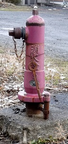 ���������̏��ΐ�