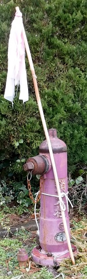 ���������̏��ΐ�