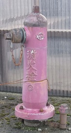 ���������̏��ΐ�