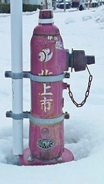 �k��s���̏��ΐ�