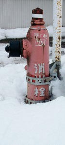 �]�ގq�����̏��ΐ�