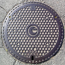 �΋����}���z�[��