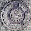 �΋���������