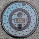 �΋���������