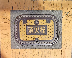 �΋������ΐ�