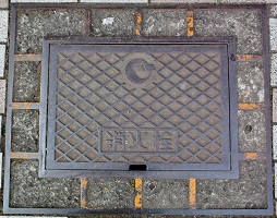 �΋������ΐ�