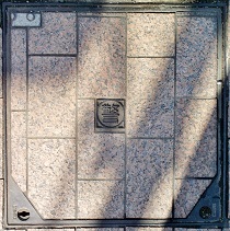 �΋����}���z�[��