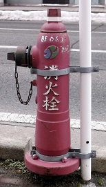 �k��s���̏��ΐ�