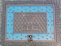 ����������C��