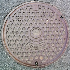 �ߐ{����C��