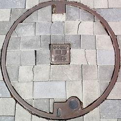 �Ȗ،������a