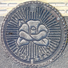 �{�����}���z�[��