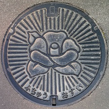 �{�����}���z�[��