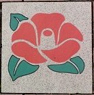 �{��������