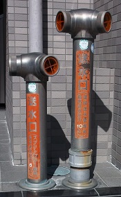 �L���s������