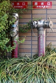 �a��s������