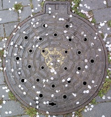 ���s�}���z�[��