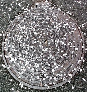 ���s�}���z�[��