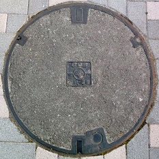 ���{�����a