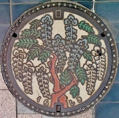 �q�~�s�}���z�[��