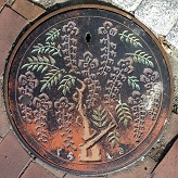 �q�~�s�}���z�[��