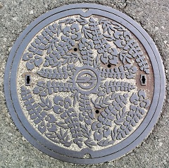 �q�~�s�}���z�[��