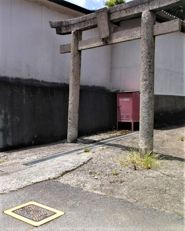 �F�R�����ΐ�