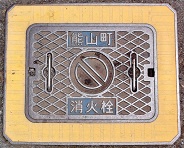 �F�R�����ΐ�