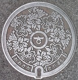 ��㋷�R�s�}���z�[��