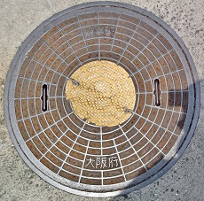 ���{�}���z�[��