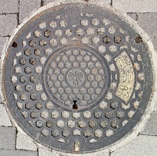 ��s�ЊQ�p�}���z�[��