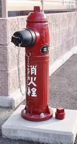 ���p�����̏��ΐ�