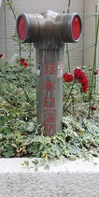 ��a�S�R�s������