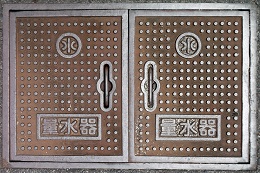 �������ʐ���