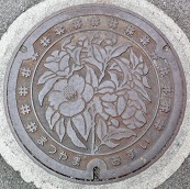 ���R�s�}���z�[��