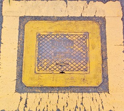 �ɗ\�O���s���ΐ�