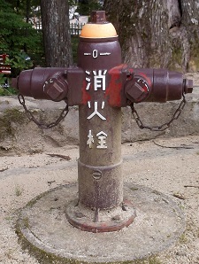 ���쒬���̏��ΐ�