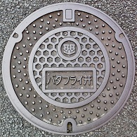 松山市バタフライ弁