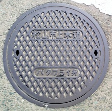 松山市バタフライ弁