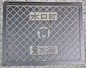 �������ʐ���