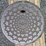 �V���l�s�}���z�[��