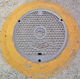 �V���l�s�h�ΐ���