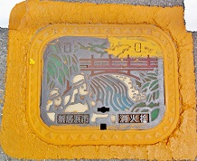 �V���l�s���ΐ�