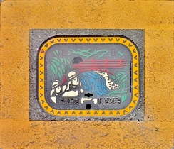 �V���l�s���ΐ�