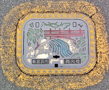 �V���l�s���ΐ�