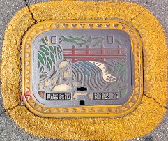 �V���l�s���ΐ�