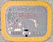 �V���l�s���ΐ�