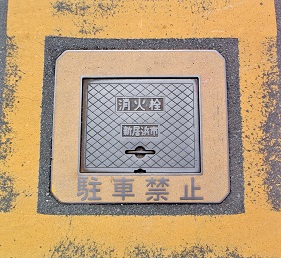 �V���l�s���ΐ�