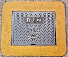 �V���l�s���ΐ�