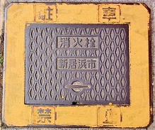 �V���l�s���ΐ�